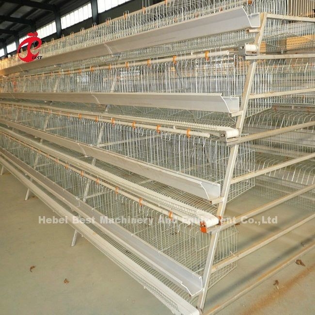 2.8mm-3.5mm Cage đường kính dây gia súc gia cầm hệ thống lồng cho hiệu quả nuôi cao Adela