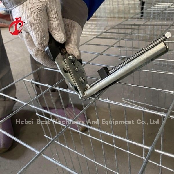 Galvanized A Type 3 Tier hoặc 4 Tier gà gia cầm lớp pin lồng cho 45.000 chim gia cầm gà nuôi Doris