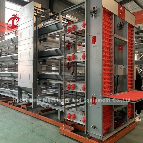 Thiết bị lồng gà tự động loại A hoặc H của hệ thống thu trứng cho 35.000 chim