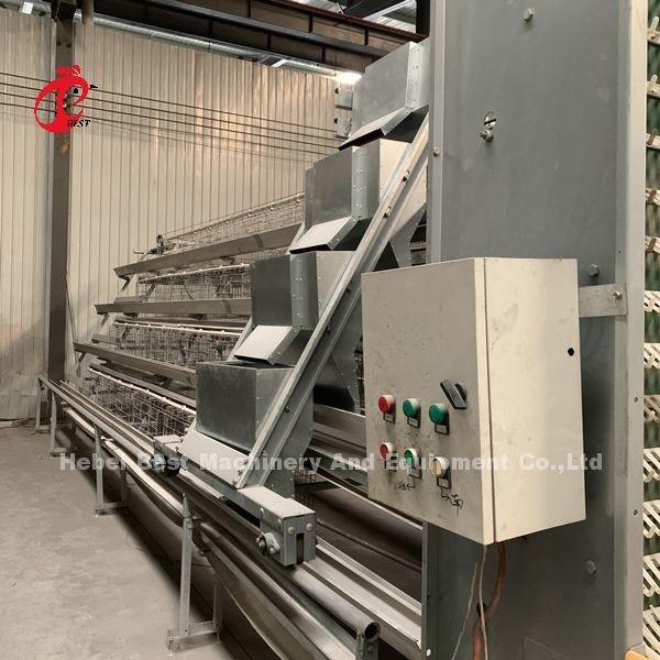 Giá xuất xưởng trên thiết bị lồng gà hoàn toàn tự động chuyên nghiệp cho chuồng gà Iris
