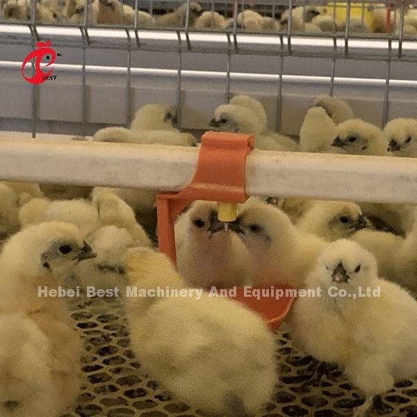 Thực tế 380V Chick Brooder Cage For Day Old Layer Grower Chicks In Africa Farm Iris