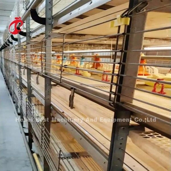 Tốt nhất Galvanized tự động H loại gà trang trại hệ thống lồng gà Adela
