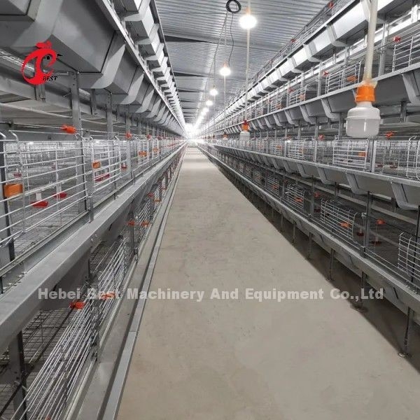 Dọn dẹp thủ công tự động Chick Brooder chuồng loại H kim loại cho gà Adela