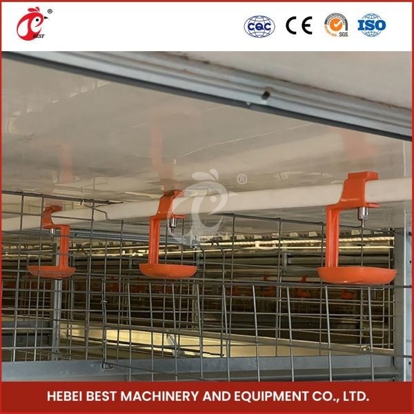 Tuổi thọ cao Chuồng gia cầm hiện đại Loại H tự động Chuồng gà mái tơ ngày xưa Công suất cao Adela