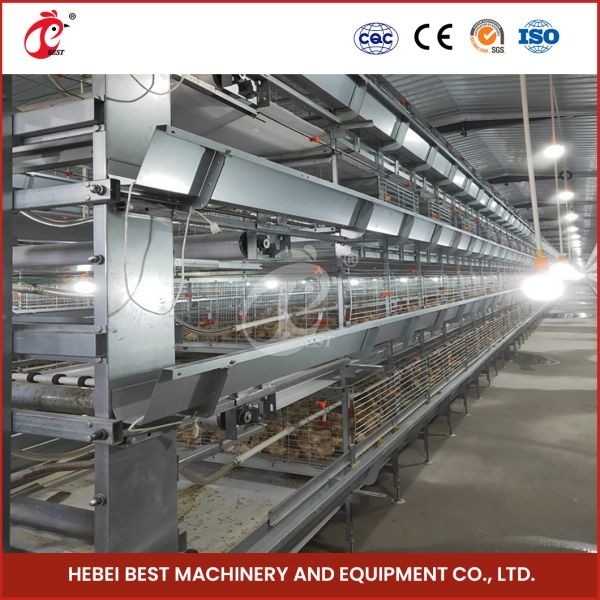Nuôi Gia Cầm Mật Độ Cao Chuồng Gà 112 Con Cho Nhà Trang Trại 1 Ngày Tuổi Ada