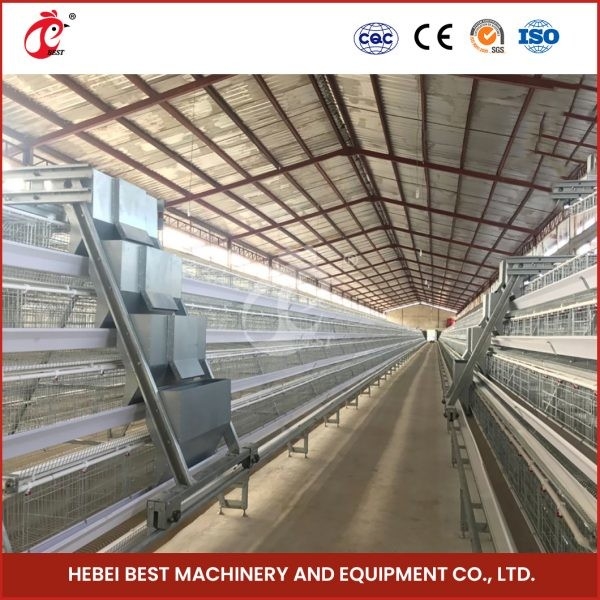 A hoặc H Loại 4 Cấp 160 Lồng pin cho gà đẻ trứng Sandy