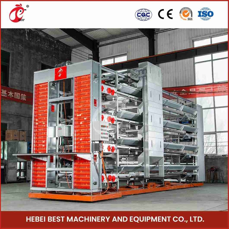 Dự án chìa khóa trao tay Thiết bị lồng lớp tự động loại H cho 50000 ngôi sao trang trại chim