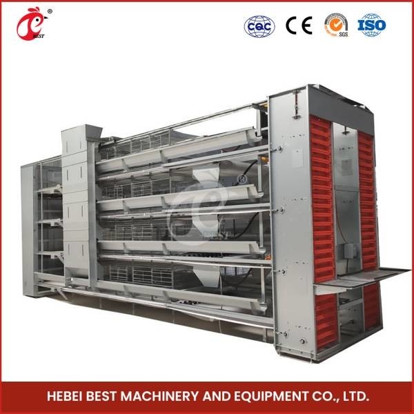Lồng 4 tầng loại H tự động cho trại gà 40.000 con Doris