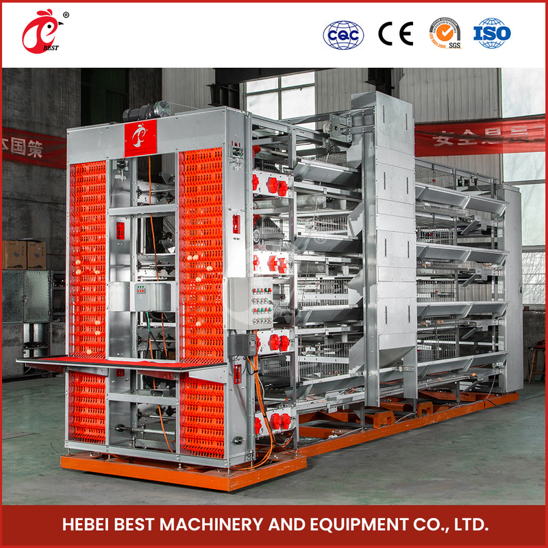 Hệ thống lồng lớp gia cầm hiệu quả loại H với máy cho ăn tự động và máy uống ngực bằng nhựa
