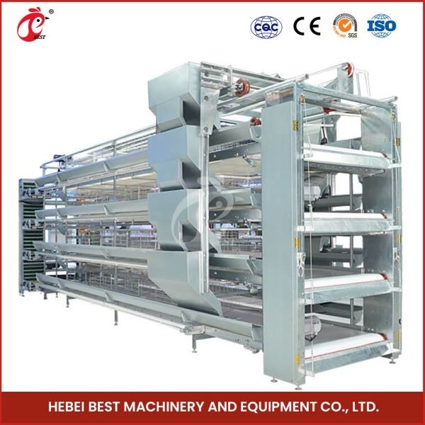 H Loại 30000 Chim Lồng gà đẻ trứng tự động với băng tải phân Ada