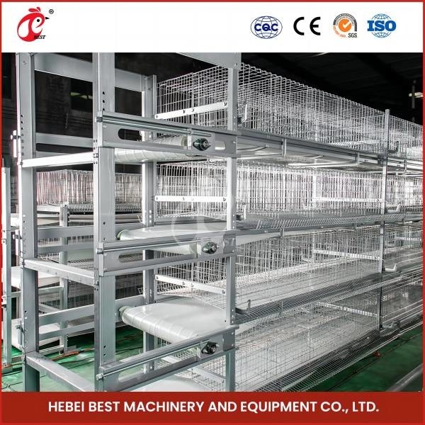 Lồng gà chống ăn mòn Lồng 160 con Công suất 100khg Trọng lượng Hoa hồng