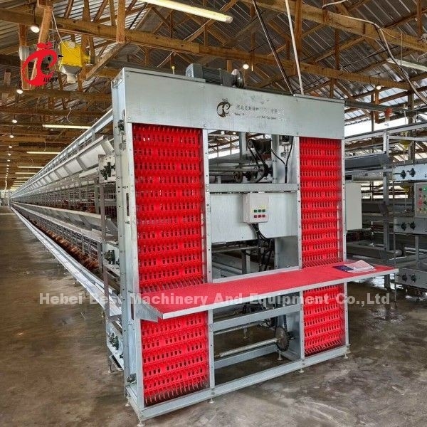 Một loại và H loại hệ thống uống tự động cho lớp gia cầm lớp lồng Adela
