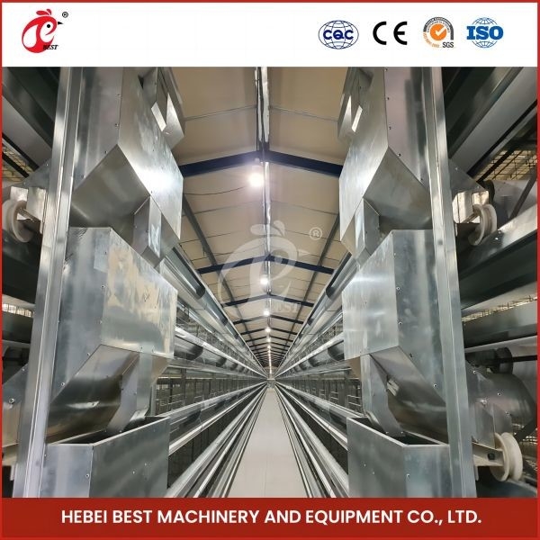 Sản phẩm được sản xuất từ các loại gia cầm