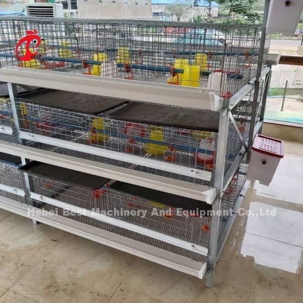 Loại A và H Chicken Cage cho 45 ngày