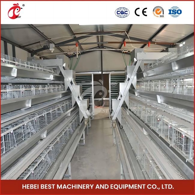 96 chim H loại tự động Chicken Chick Cage / một loại Chicken Cage Broiler với cửa trượt Rose
