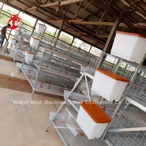 3 hoặc 4 Tier Chick Rearing Cage H Belt Hệ thống làm sạch bằng tay 2x2x1.6meters Doris