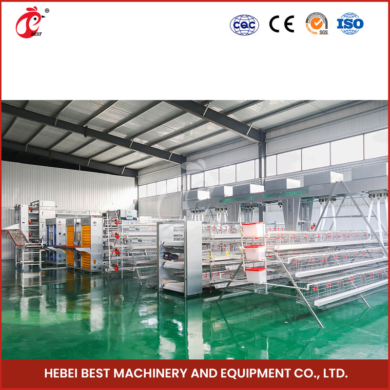 Lồng đẻ ốc nóng sâu cho gà con