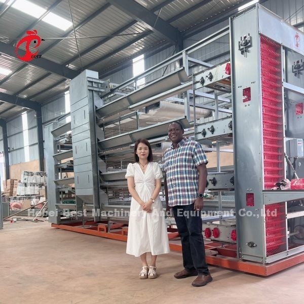 Hệ thống lồng gà thịt đun nóng 25 năm tuổi thọ cho nuôi gà Emily Wang