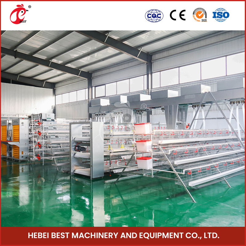 Hệ thống lồng pin lớp tự động hiệu quả 2,2m x 2,4m x 1,65m