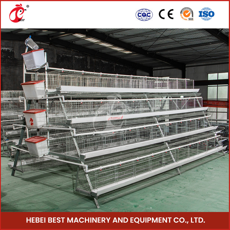 120 Chicken Wire Mesh Cage với Nipple Drinker và Cage Capacity Of 120 Star