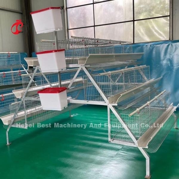 2.8mm-3.5mm chuồng đường kính dây hệ thống chuồng gia cầm tiết kiệm lao động tăng lợi nhuận Iris