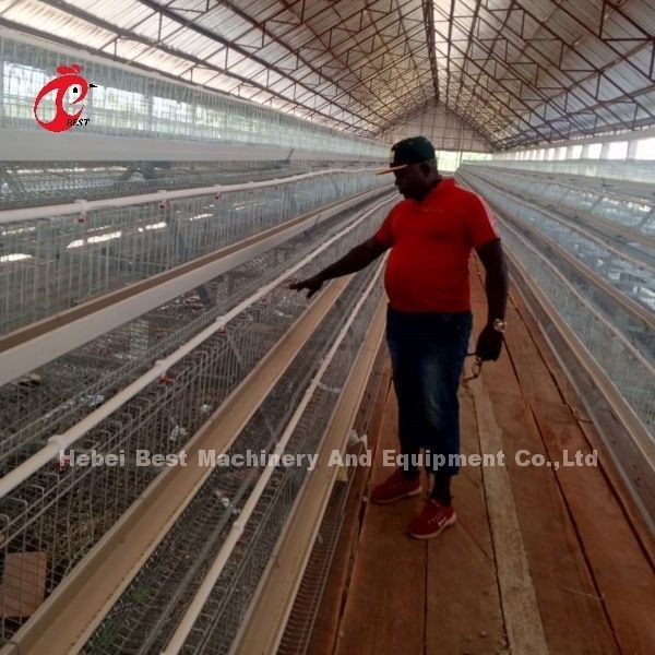96-200 Bird Capacity White Layer Cage in Nigeria Hot Dip Galvanized Steel Star