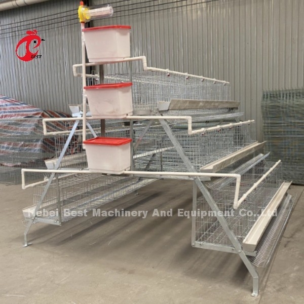 90/96/120/128/160/200 Capacity Lớp lồng gia cầm với người uống và người cho ăn