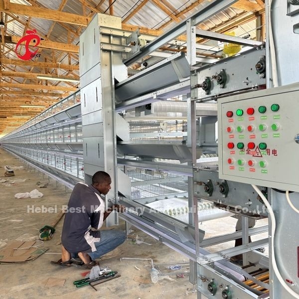 Hệ thống lồng gia cầm loại H / A với máy uống tự động Ứng dụng cho Tanzania Uganda Ghana Kenya Sandy
