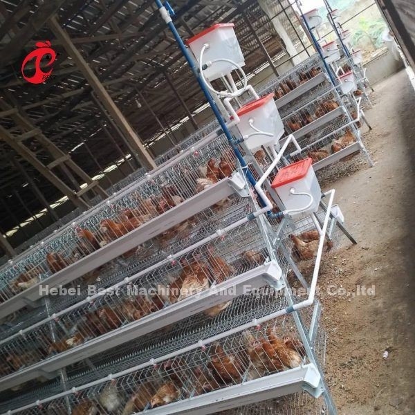 Chăn nuôi gà dễ dàng với lồng lớp gia cầm trong loại A hoặc H 450cm2 Ada