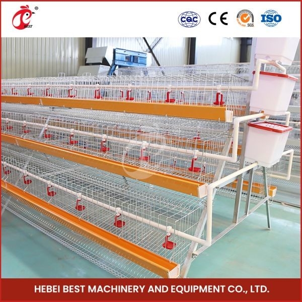 120 chim nóng kẽm chuồng pin một loại lớp gà chuồng Mia