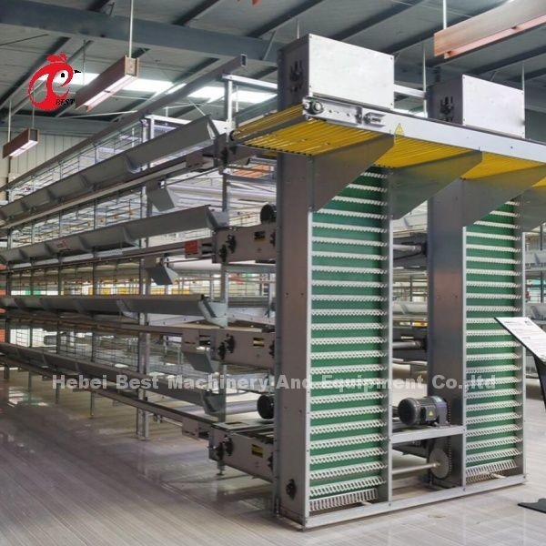 Hệ thống lồng gia cầm mô-đun cho các trang trại lớp Hot Dip Galvanized Cage pin Capacity 96-200 Birds Sandy