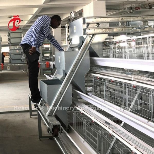Hệ thống lồng pin tầng trên cho nuôi gà 96-200 chim