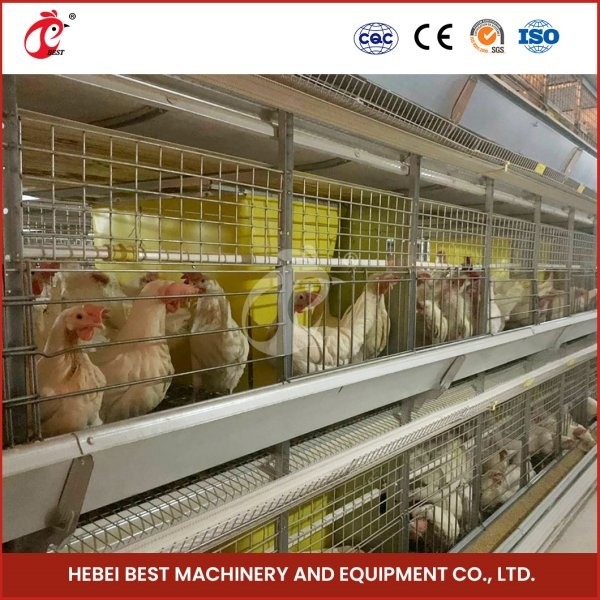 H hình H loại gà gà với cửa trượt 450cm2 Vùng đất / Bird Video cài đặt bao gồm Ada