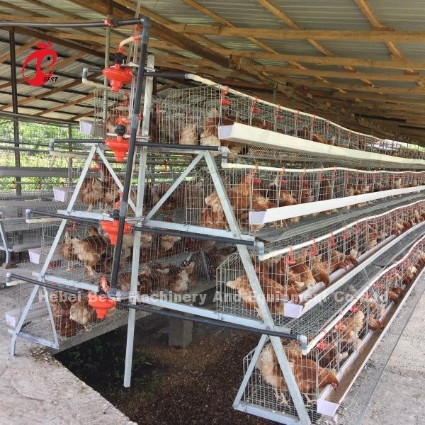 3 Tier 120 chim và 4 Tier 160 chim lớp hệ thống lồng pin cho Uganda Tanzania nuôi gia cầm Sandy