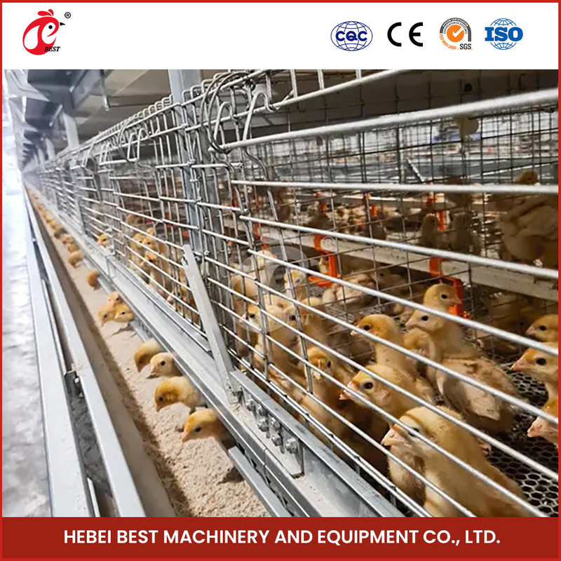 Hệ thống lồng nuôi gia cầm nhôm với đường kính dây lồng 2,8-3,5mm Mia