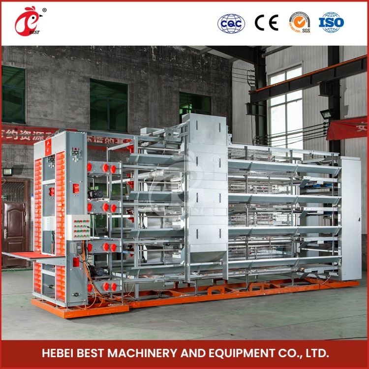 20-25 năm Tuổi thọ Lớp Chăn nuôi lồng Hệ thống gia cầm loại A Mia