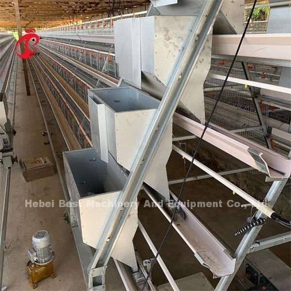 Châu Phi nóng kẽm 4 lớp gia cầm lớp pin lồng 25 năm tuổi thọ bán cho lớp trang trại Emily