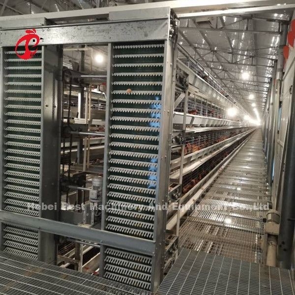 Hệ thống nuôi trứng tự động cho 30,000 nuôi gà Doris