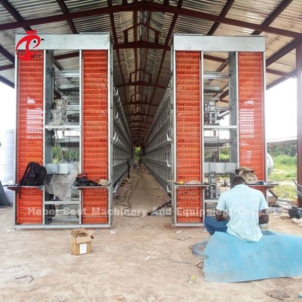 A Loại H Thiết bị nuôi gia cầm tự động cho người chăn nuôi Hệ thống lồng gà Sandy
