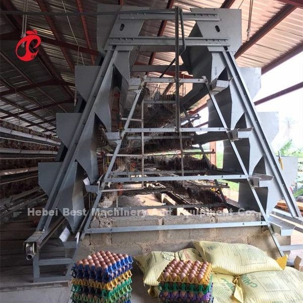 Hệ thống chuồng nuôi gia cầm dùng pin A Frame Cấu trúc ổn định 2022 Bán chạy Emily