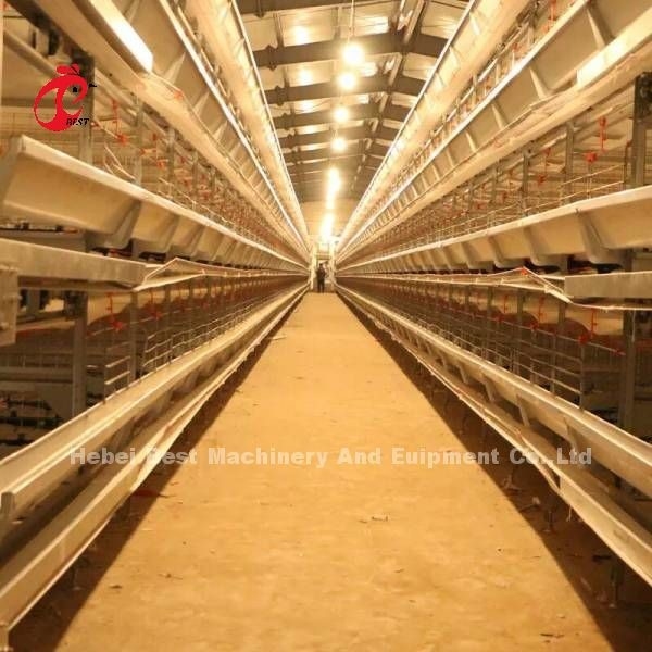 Lồng pin loại H hoàn toàn tự động cho gà mái đang được bán chạy tại thị trường Châu Phi Mia