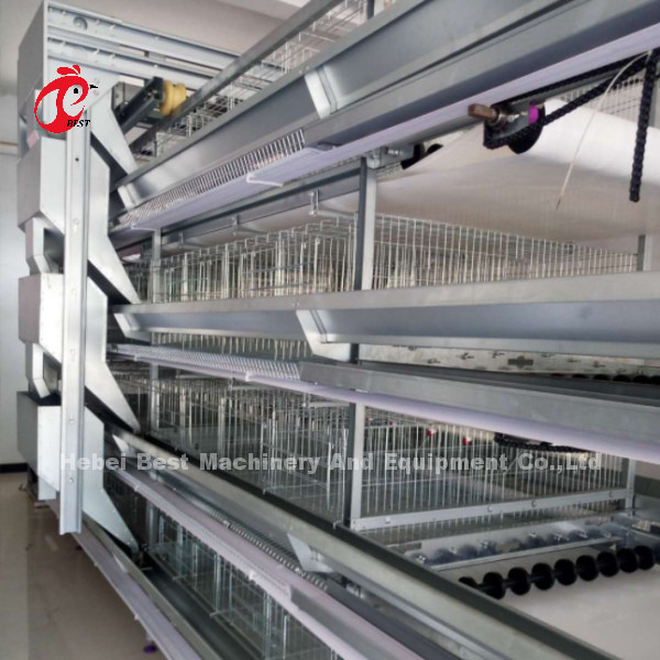 H và A loại tự động gà lớp lồng 15000 chim phổ biến ở châu Phi Rose