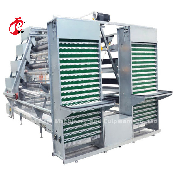 Nhập khẩu Lồng gà đẻ chất lượng tốt nhất cho gà trưởng thành ở thị trường Châu Phi Mia