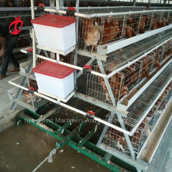 Hệ thống chuồng nuôi Gia cầm Scraper Phân chuồng Làm sạch 3 loại Iris