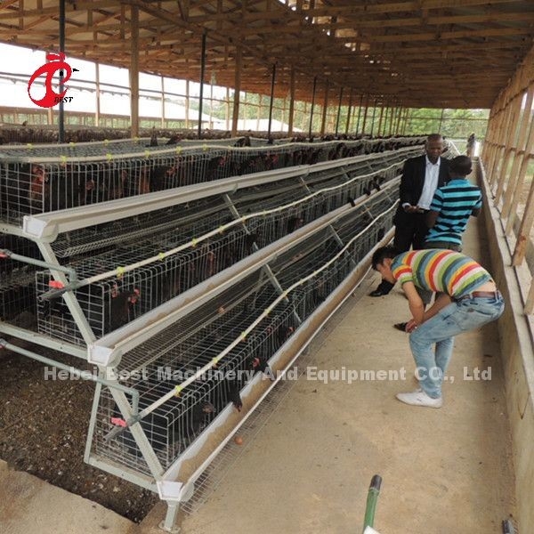 Lồng pin gà lớp A loại 3 tầng 120 con 450cm2 sao