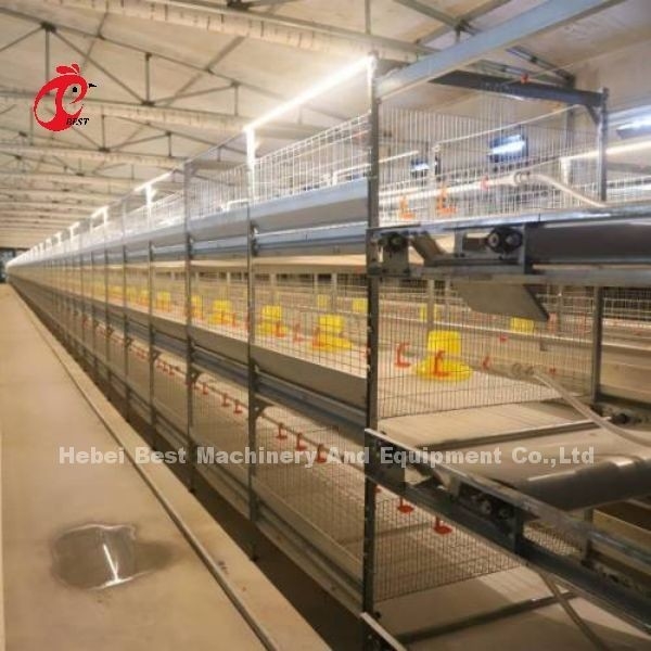 Lồng gà thịt loại H CE, Thiết bị lồng nuôi gà thịt hoàn toàn tự động Adela